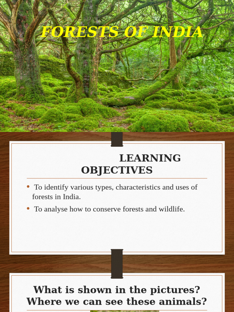 FORESTS OF INDIA (1) | PDF | Forests | Trees