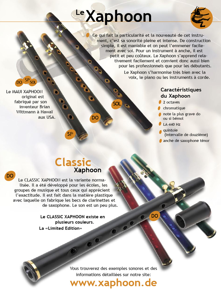 Xaphoon Classic : Instrument à anche portable | PDF | Clarinette ...