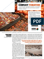 Conflict Tomatoes - The Moroccan agriculture industry in occupied Western Sahara and the controversial exports to the EU market