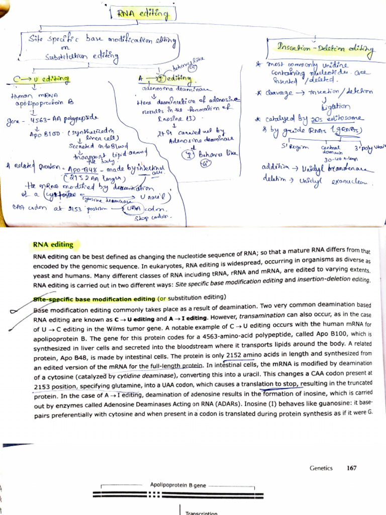 RNA Editing Mechanisms Explained | PDF | Messenger Rna | Rna
