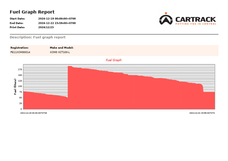 Fuel Usage Analysis Report | PDF