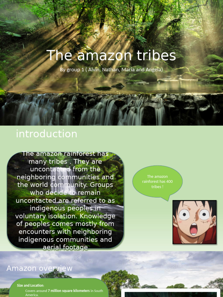 Amazon Rainforest Tribes Overview | PDF | Amazon Rainforest | Rainforest
