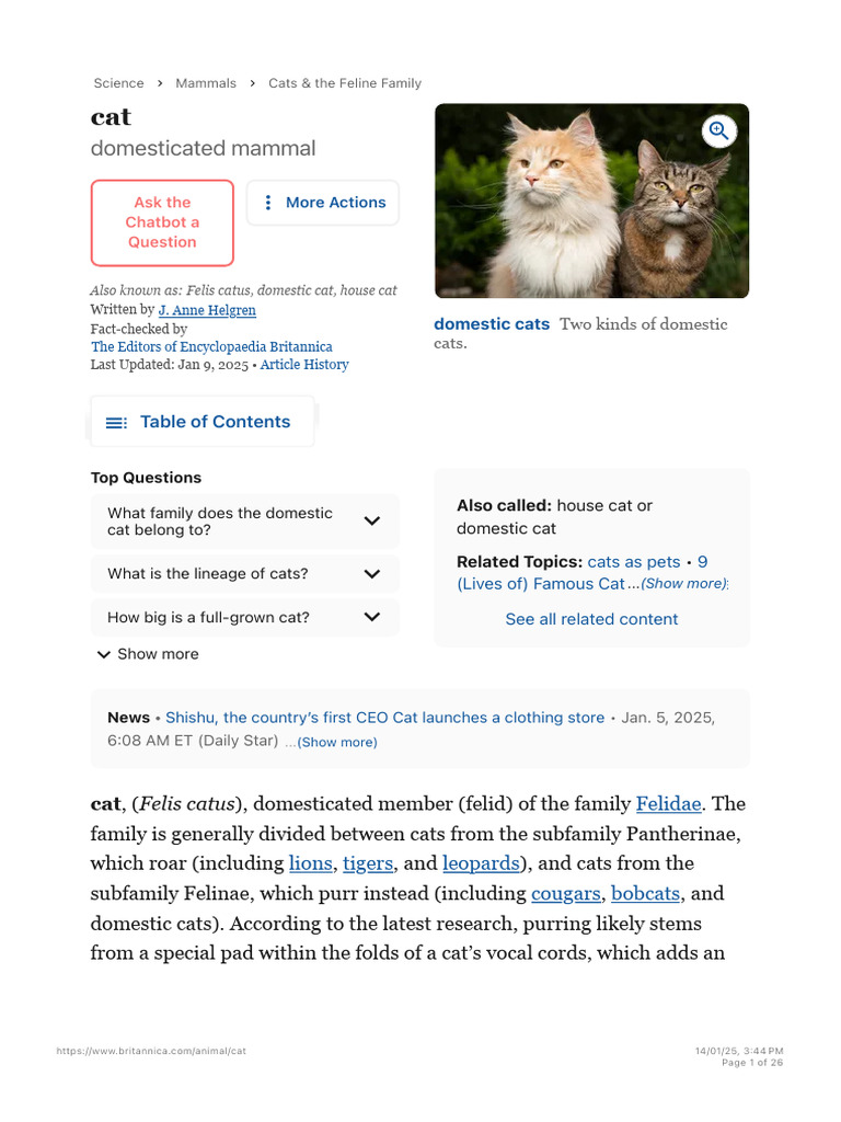 Cat - Breeds, Origins, History, Body Types, Senses, Behavior ...