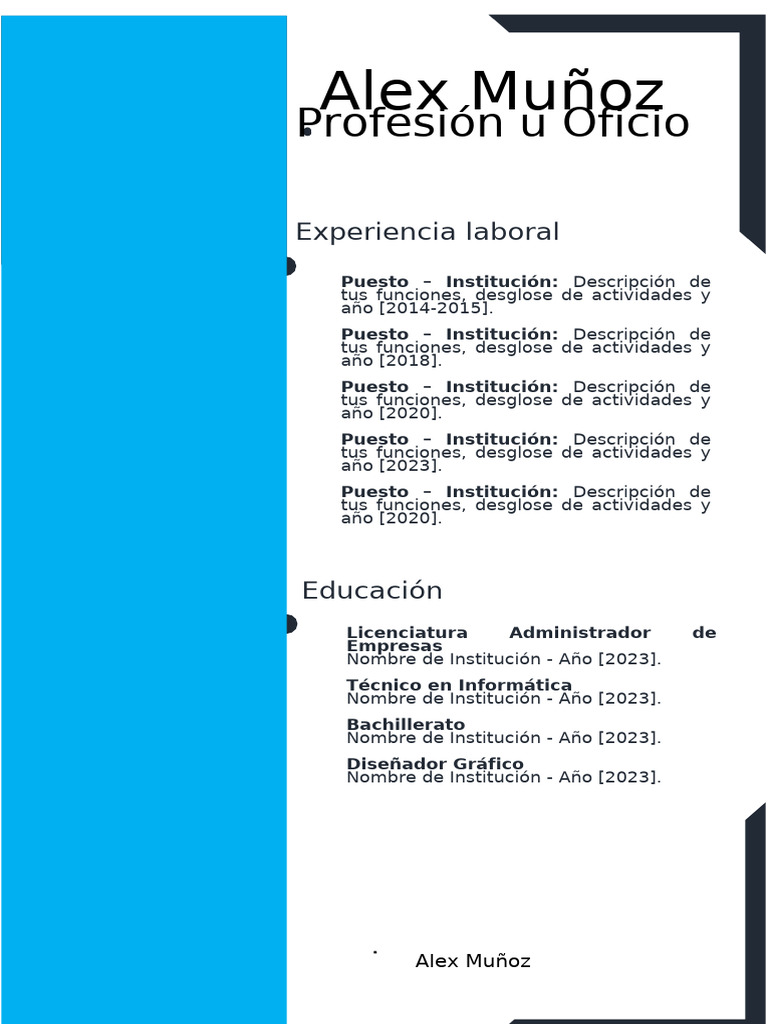 Modelo de CV Profesional de Alex Muñoz | PDF