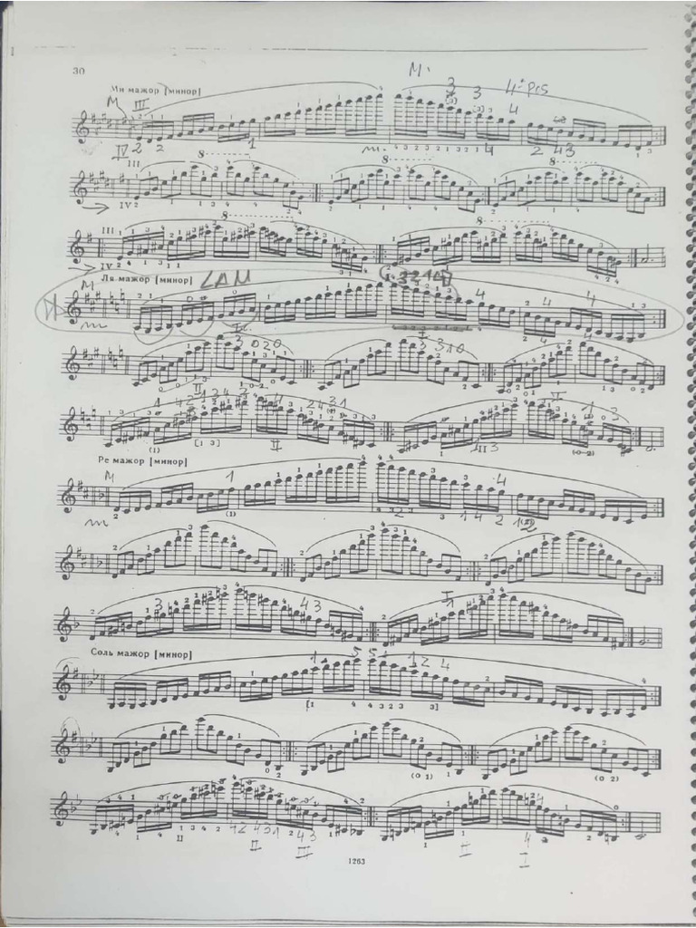 Escala de SolM | PDF