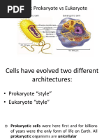Prokaryotes and Eukaryotes Venn Diagram | PDF | Cell (Biology) | Eukaryotes