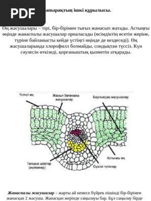 Көліктегі секс, орыс стилі