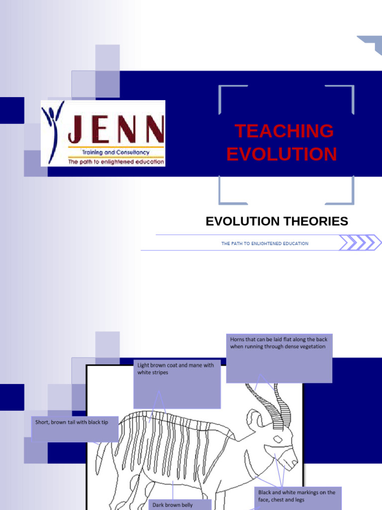 Evolution Theories Presentation | PDF | Natural Selection | Evolution