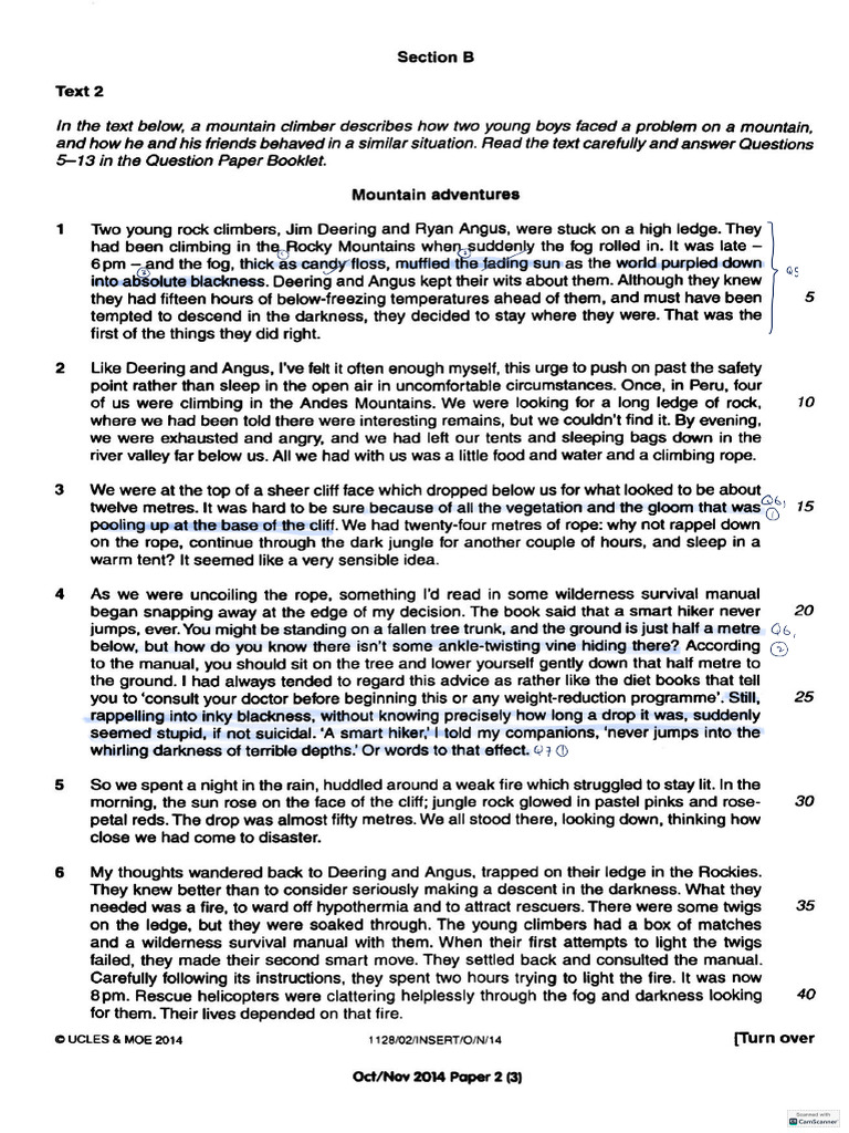 2014 O Level P2 INSERT | PDF