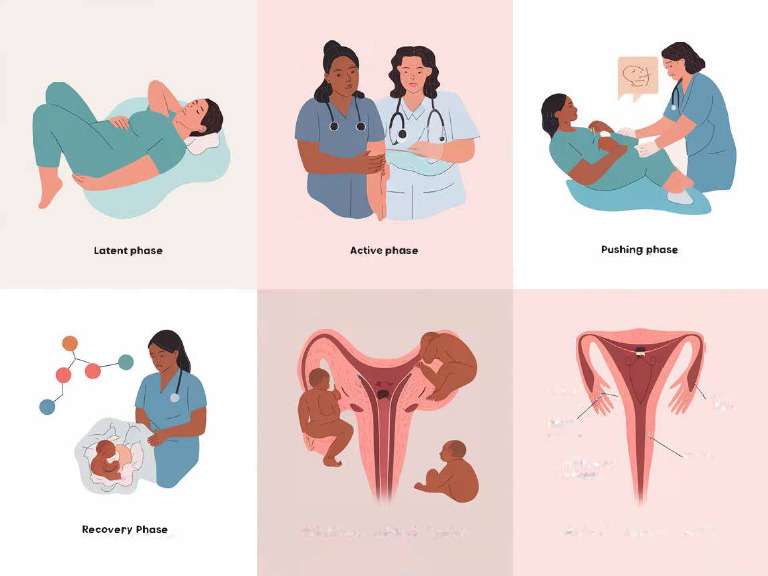 Understanding Birth and Labor | PDF