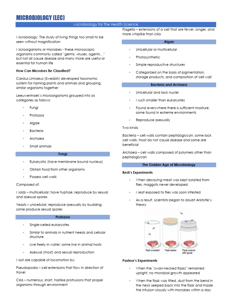 Microbiology Overview for Health Sciences | PDF | Microorganism | Bacteria