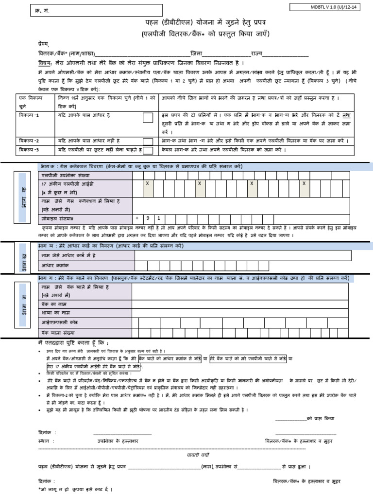 DBTL Unified Form V1 Hindi | PDF