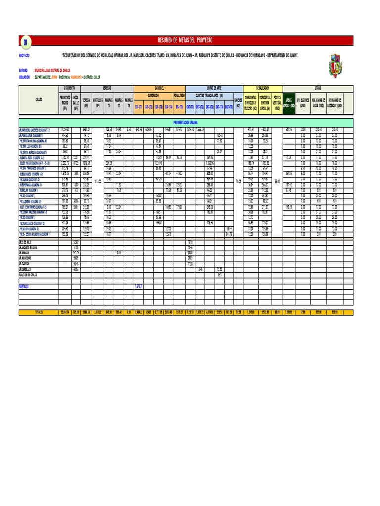 2.7.2.+Resumen+De+Metas+ok 20241015 182434 892 | PDF