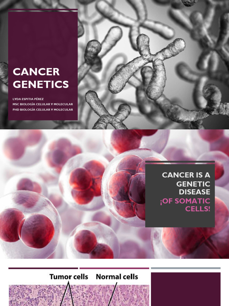 Understanding Cancer Genetics and Types | PDF | Cancer | Colorectal Cancer