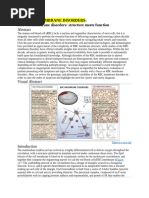 Cambridge visual data 3