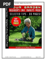 Your Garden - Neighbor's Envy, Owner's Pride Submitted by Nadeem Khan