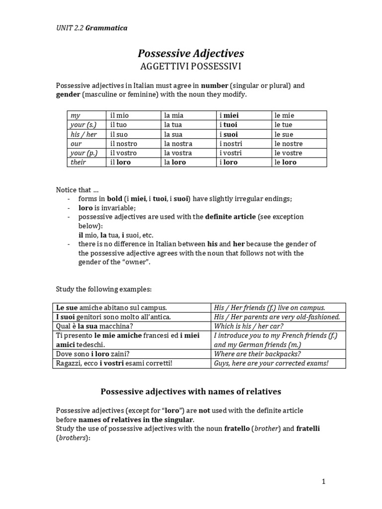 Adj posesivo + flia | PDF | Grammatical Gender | Adjective