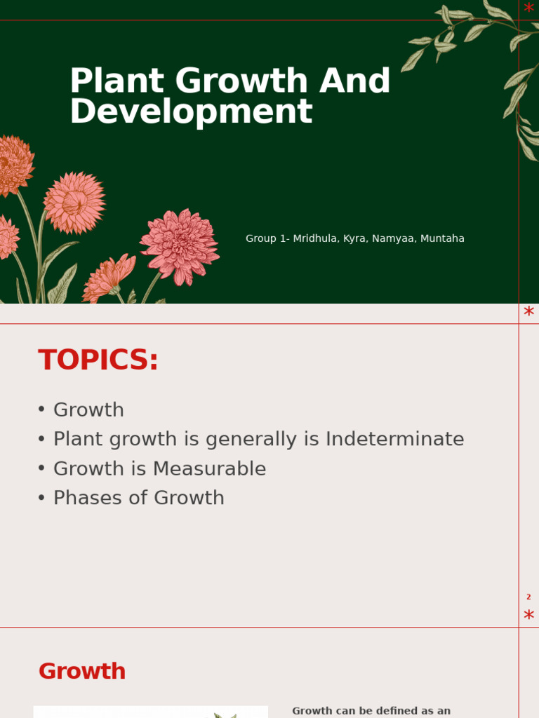 Bio Seminar - gr1 | PDF | Root | Plants
