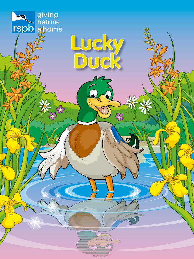 Lucky Duck's Colorful Friends | PDF | Holarctic Birds | Ornithology