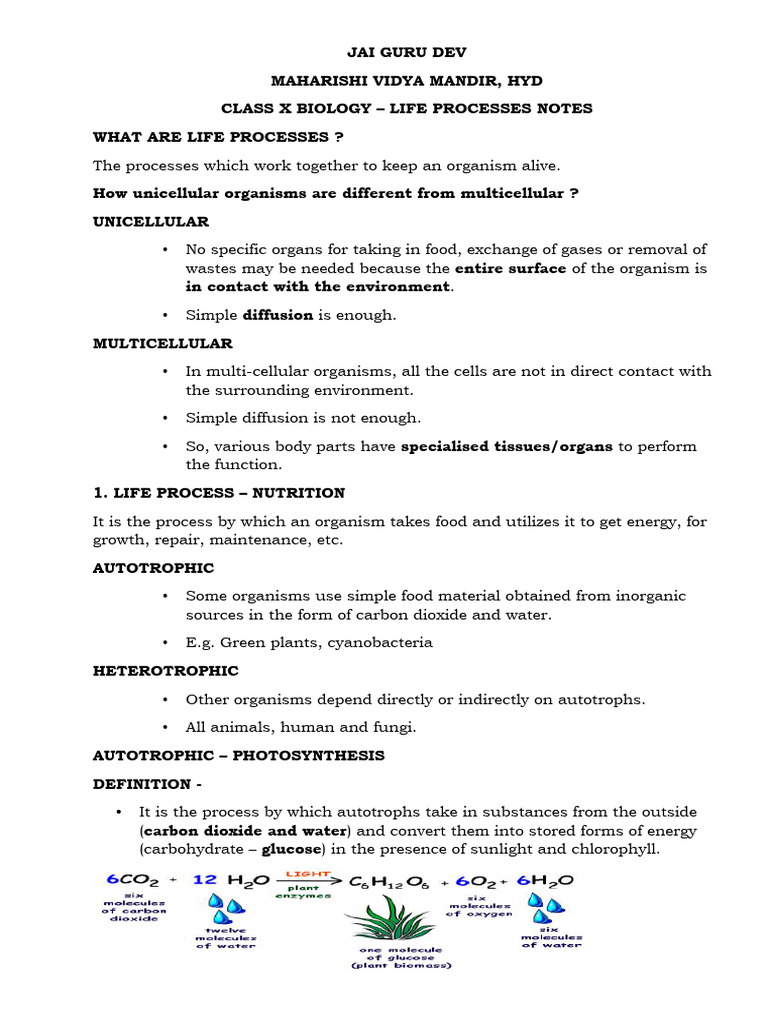 LIFE PROCESSES NOTES (2) | PDF | Digestion | Blood