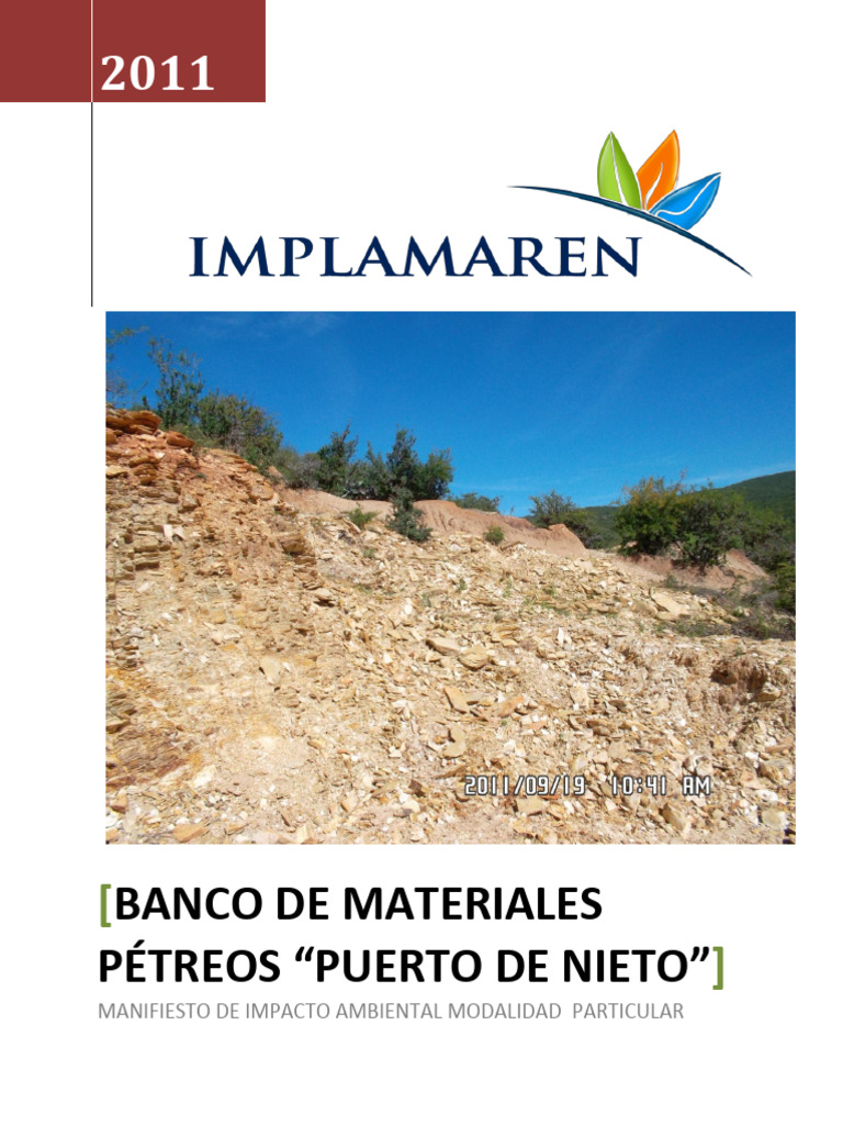 Manifiesto de Impacto Ambieltal | PDF | Entorno natural | México