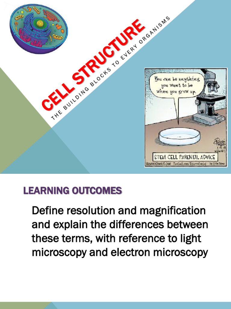 Chapter+1+Cell+Structure 6IJ | PDF | Endoplasmic Reticulum | Cell (Biology)