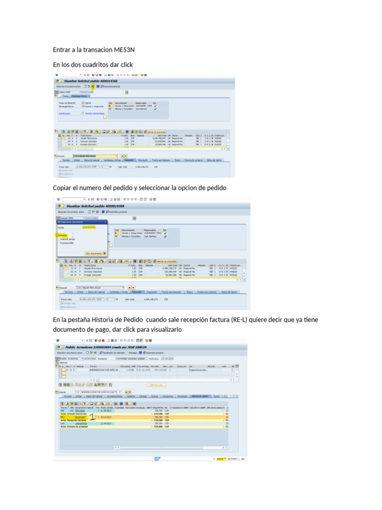 Guía para usar ME53N en SAP | PDF