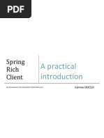 Spring Rich Client