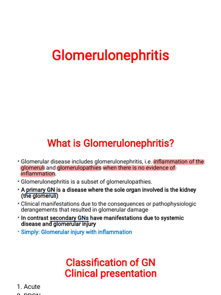 Understanding Glomerulonephritis Types | PDF | Kidney | Medical Specialties