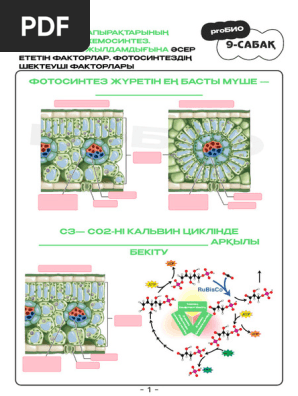 Орыс жігіті көршісінің порносын трахает