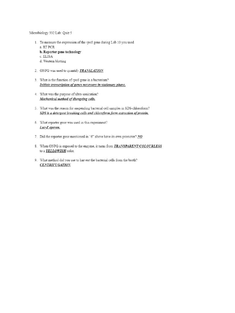 Lab Quiz 5 (2021) | PDF