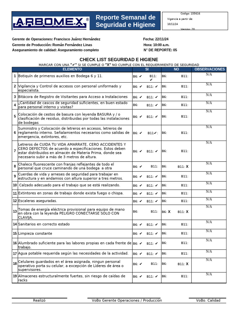 Informe Semanal de Seguridad e Higiene | PDF