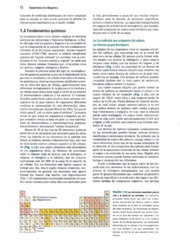 Fundamentos Químicos | PDF