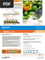 Folleto Fidato 2023 | PDF | Insectos | Brócoli