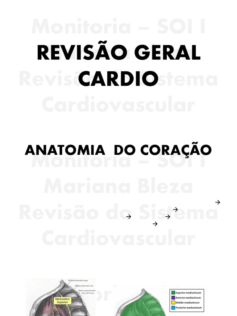 Revisão do Sistema Cardiovascular | PDF | Coração | Potencial de ação