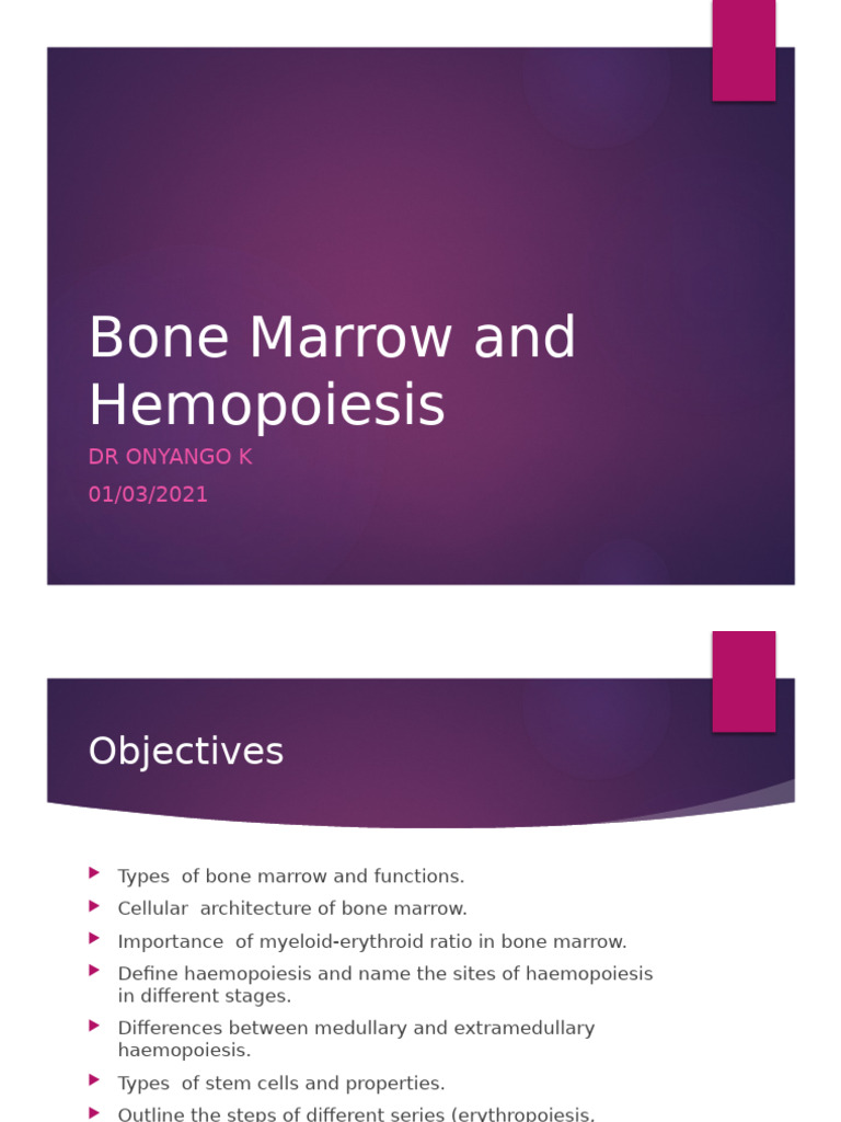 Bone Marrow and Hemopoiesis MBCHB 2021 | PDF | Haematopoiesis | Bone Marrow