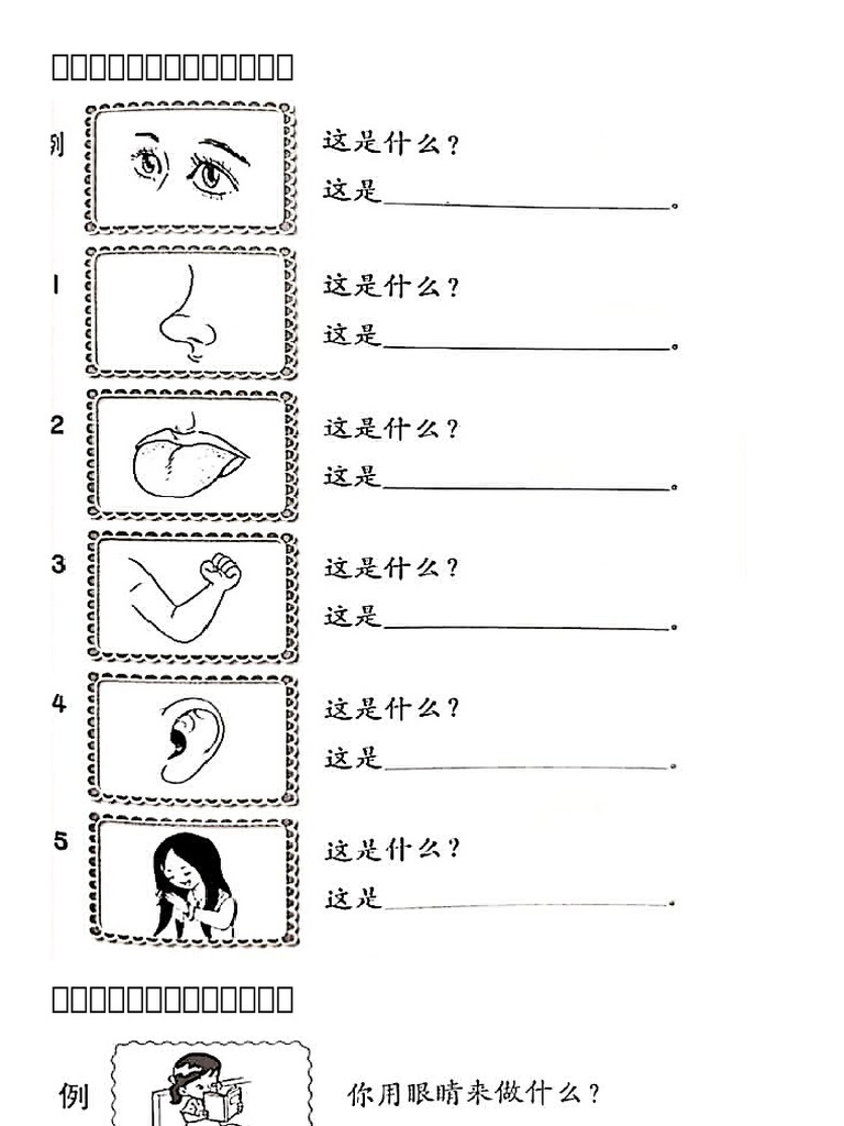 根据图意幼二 | PDF