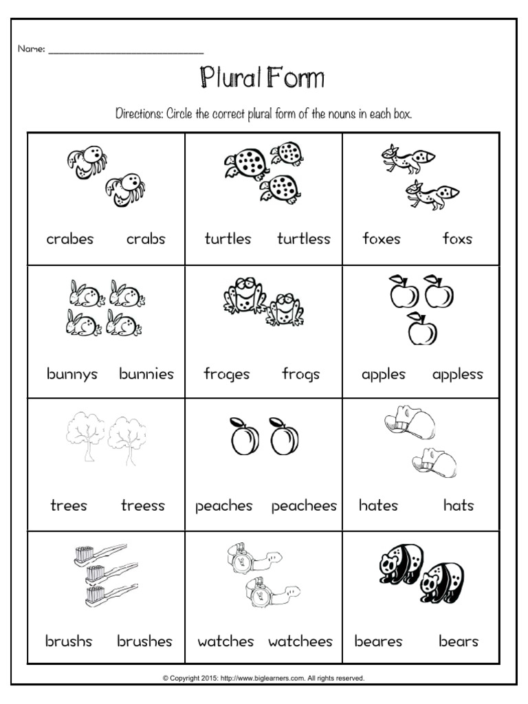 Plural Form | PDF