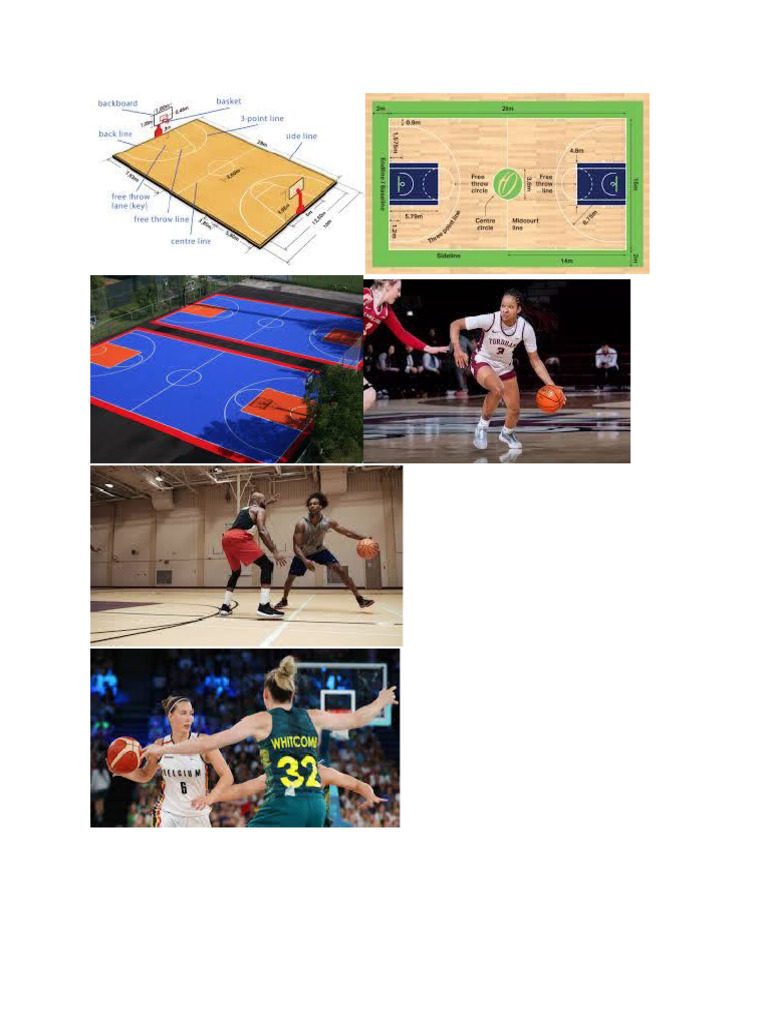 Basketball | PDF