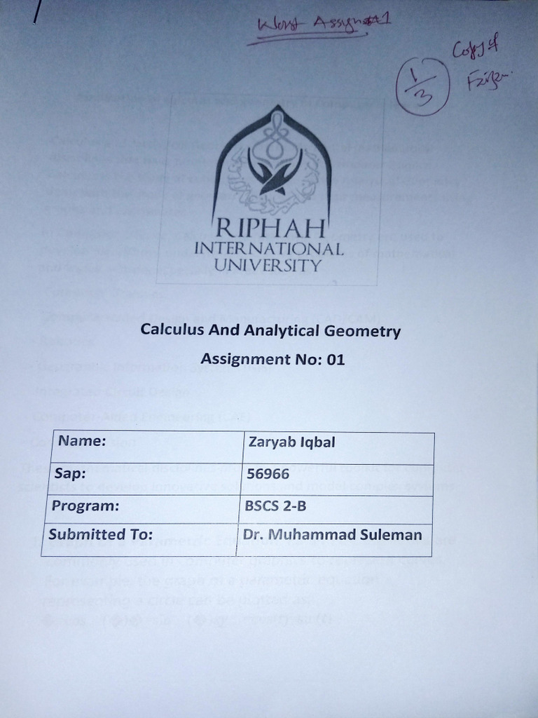 Worst Assignment 1 | PDF