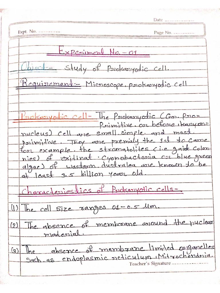 Lab - 2 Practical | PDF