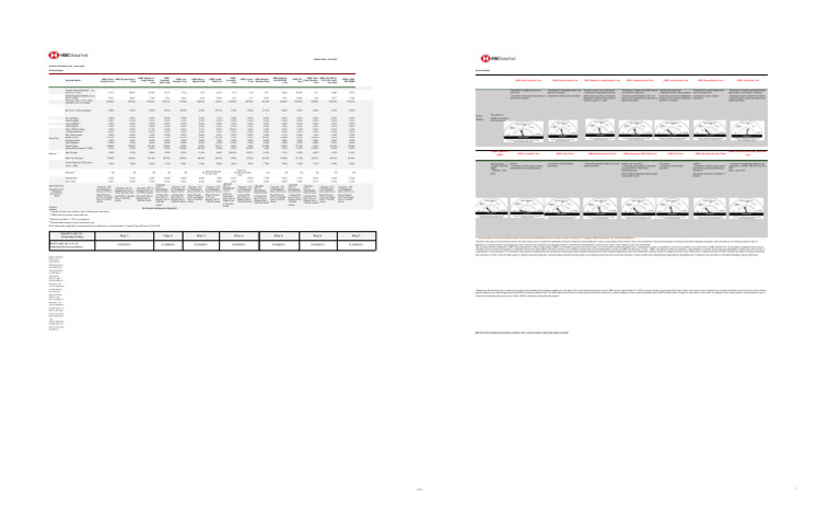 HSBC Fund Portfolio Summary 2024 | PDF | Bond Duration | Fixed Income