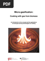 Download Micro-Gasification Cooking With Gas From Biomass by glynis SN81595888 doc pdf