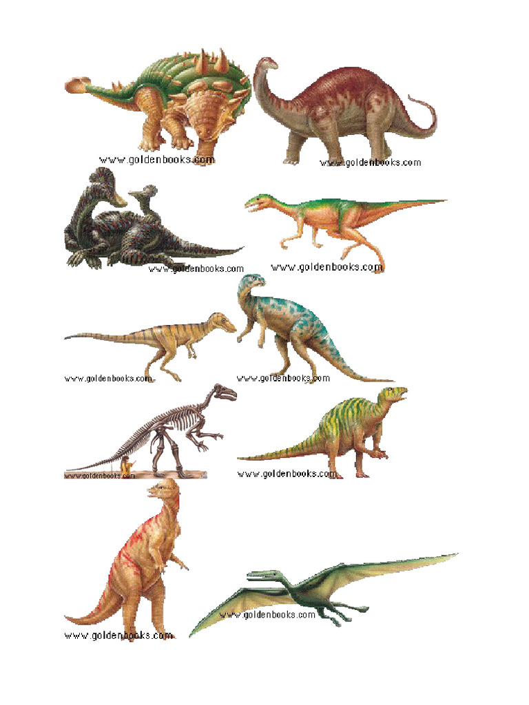 Dinosours | PDF
