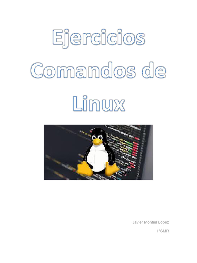 Ejercicios de Comandos en Terminal Linux | PDF