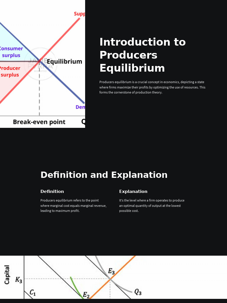 Understanding Producers Equilibrium in Economics | PDF | Economic ...