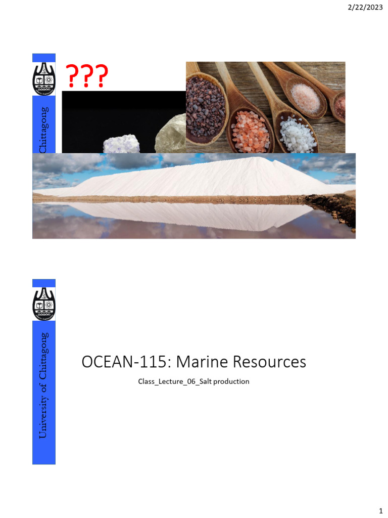 OCEAN 115 Class Lecture 06 Salt Production | PDF | Salt | Sodium Chloride