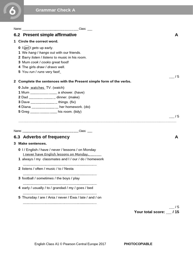 Grammar Check 6A | PDF