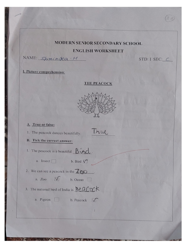 English Worksheet Pdf