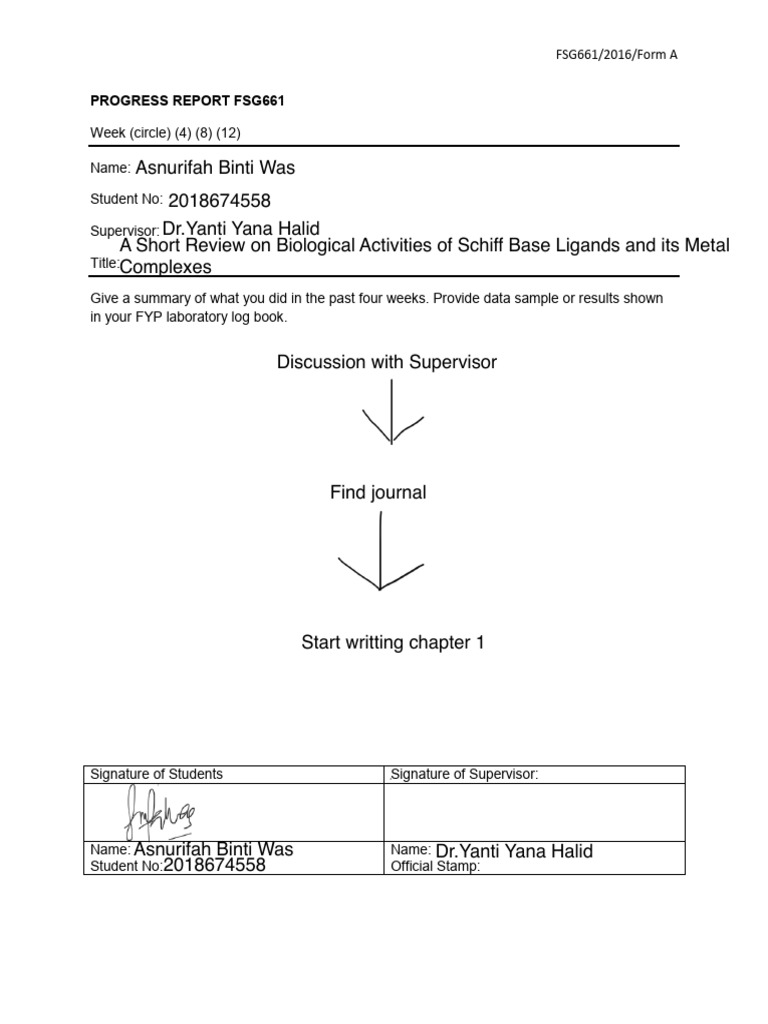 FSG661 Progress Report Template | PDF